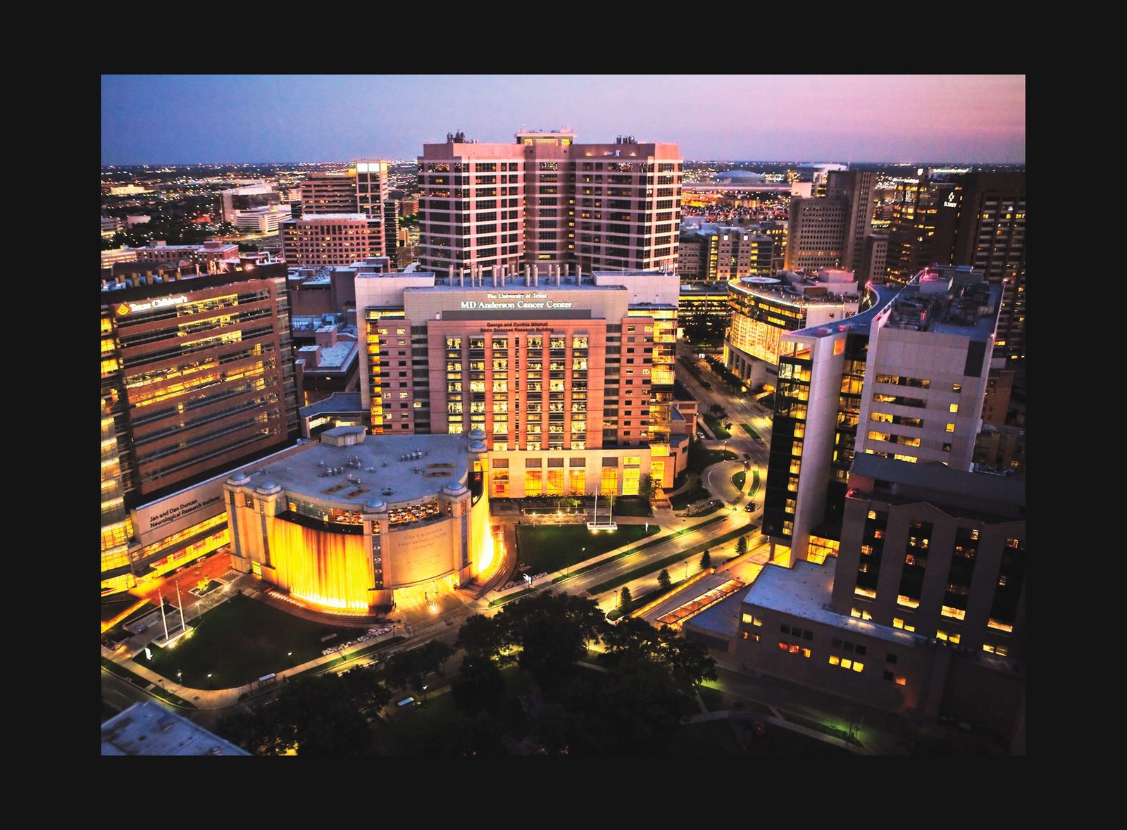Texas Medical Center Houston